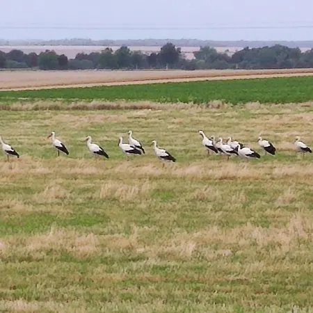 Bed & Breakfast Le Clos Des Preles Boismont (Somme)